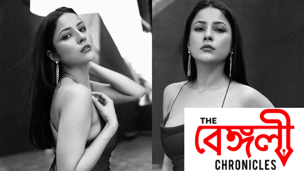 shehnaaz 7