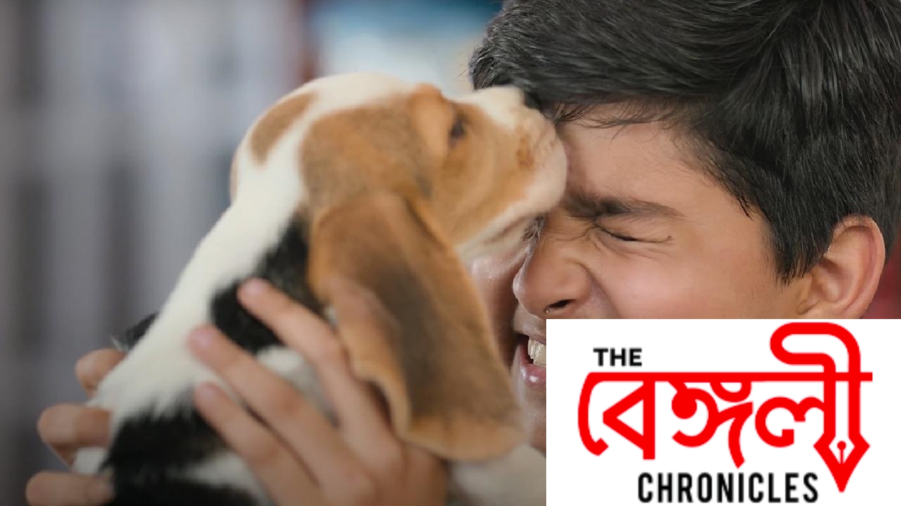jeet 3