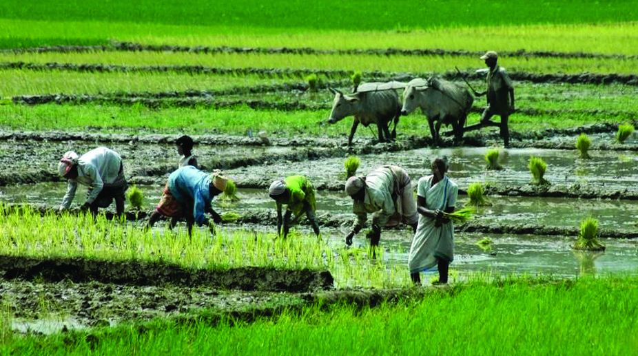 PM Kishan Samman Nidhi Yojana,Farmer