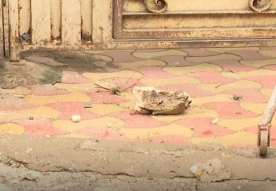 India,West Bengal,Bengali news,Breaking news,Top 10 news