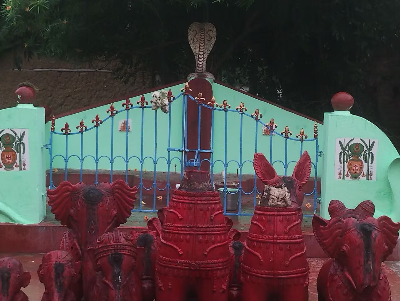 Bankura News,snake village of bankura,photo gallery,west bengal snake village,bankura