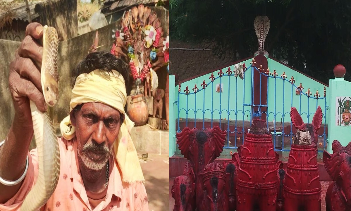 Bankura News,snake village of bankura,photo gallery,west bengal snake village,bankura