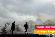 Michaung,cyclone,Meteorological department,IMD,NDRF,SDRF,Sea,Beach,Cyclone news,Latest on cyclone,cyclone update,Michaung Update,Tamil Nadu,Andhra Pradesh,School closed,Train cancelled