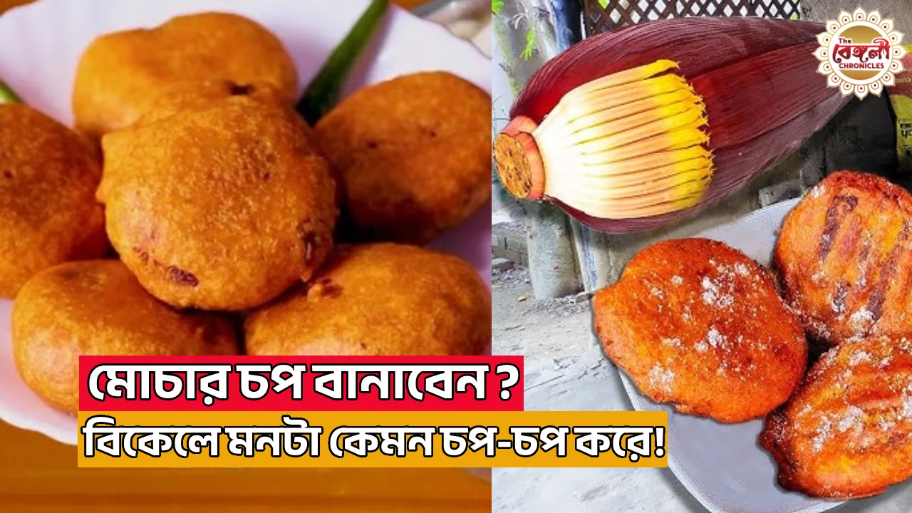 মোচার চপ রেসিপি,মোচার চপ,mochar chop,mochar chop recipe,bengali cuisine mochar chop,kolkata style mochar chop,mochar chop recipe bengali,mochar chop recipe bengali style,recipe of mochar chop,mochar chop recipe in bengali,mochar chop ingredients,mochar chop recipes,niramish mochar chop,simple mochar chop recipe,niramish mochar chop recipe,veg mochar chop,chingri mochar chop,mochar chop in english,how to make mochar chop,mochar chop near me,mochar chop mochar chop,mochar chop chop,mochar chop chori,mochar chop bengali recipe,mochar chop banana recipe,mochar chop bengali,mochar chop recipe bong eats,mochar chop banana,mochar chop banana dikhao,bengali mochar chop,mochar chop bong eats,b chop,mochar chop calories,mocha chingri chop,mochar chop chudi,mochar chop kara,chop mohor chop,mochar chop description,mochar chop dikhao,mochar chop banana dekhte chai,mochar chop recipe dhaka,mochar chop recipe dikhao,benefits of chop chop,mochar chop recipe in english,mochar chop in bengali,mochar chop in hindi,chop benefits,mochar chop recipe in hindi,what is mochar chop,kolar mochar chop,mochar chop ki kore banaye,mochar chop ki bhabe banaye,mochar chop ki kore kore,mochar chop kivabe korbo,mochar chop meaning,mochar chop is veg or non veg,mochar chop price,mochar chop recipe in bengali pdf,mochar chop popi kitchen,mochar chop poppy kitchen,mochar chop ranna recipe,mochar chop ranna,mochar chop torkari,mochar chop video,mochar chop recipe video,mochar chop banana video,Recipes,Bengali Cuisine,Snacks Recipes,Vegetarian Recipes